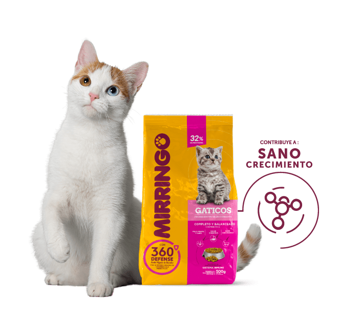 producto mirringo gaticos